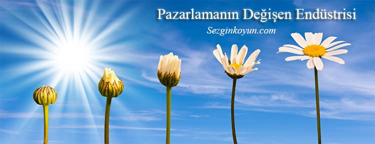 Pazarlama Sektöründe Değişim