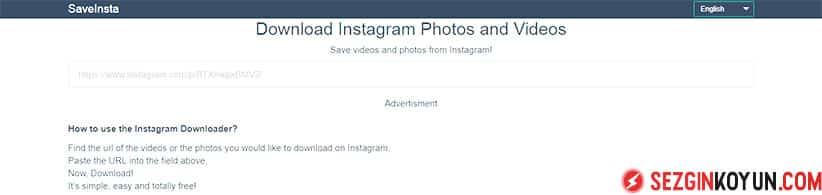 Saveinsta, yabancı video indirme sitedir.