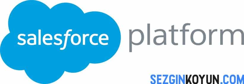 Salesforce Nedir