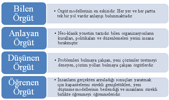 Örgüt Tarihi Aşamaları