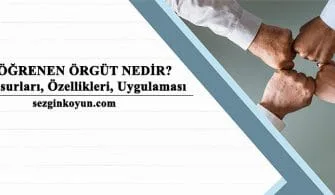 Öğrenen Örgüt Nedir? Özellikleri, Unsurları, Uygulaması