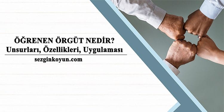 Öğrenen Örgüt Nedir? Özellikleri, Unsurları, Uygulaması