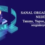 Sanal Organizasyon Nedir? Örnekleri, Özellikleri, Yapısı
