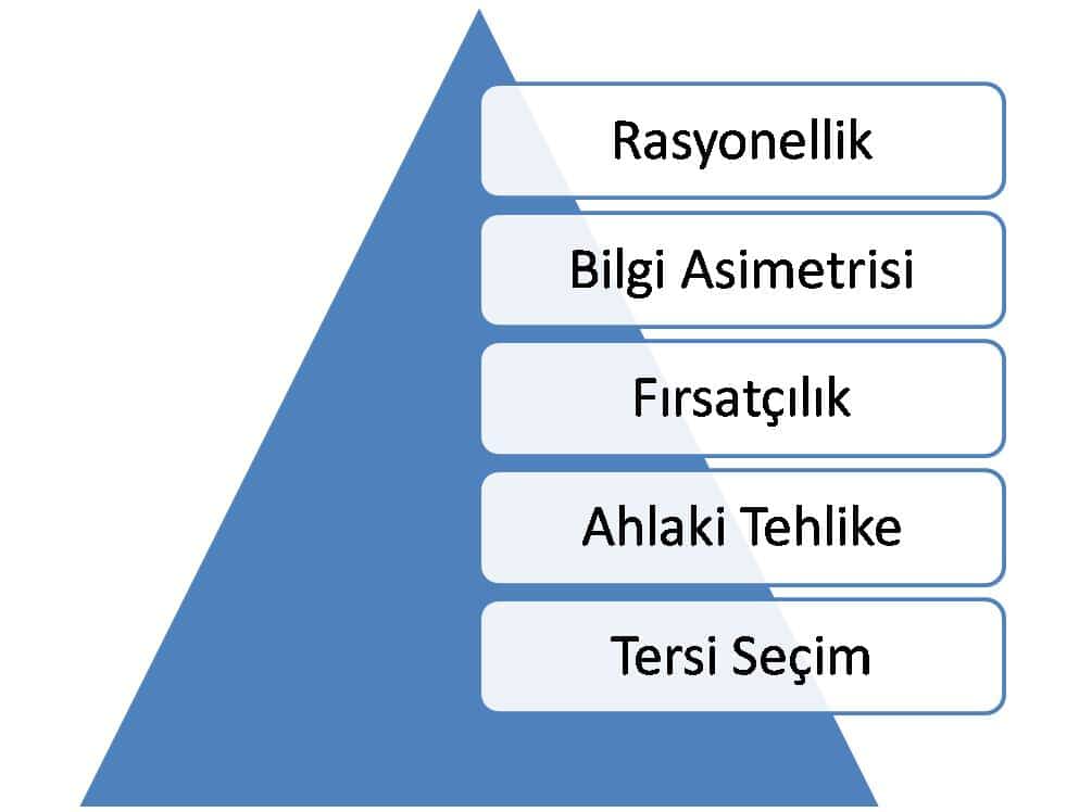 Asil-Vekil Davranışlarına İlişkin Temel Varsayımlar 