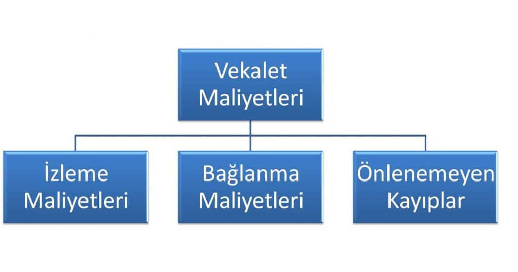 Vekalet Maliyetleri