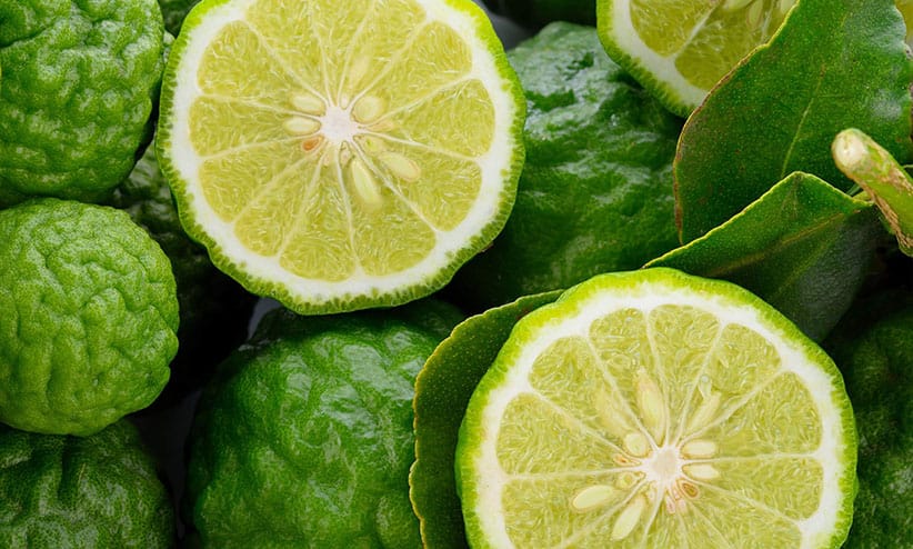 Bergamot Yağı