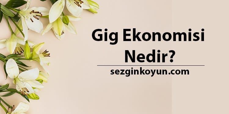 Gig Ekonomisi Nedir? Gig Pazar Rehberiniz