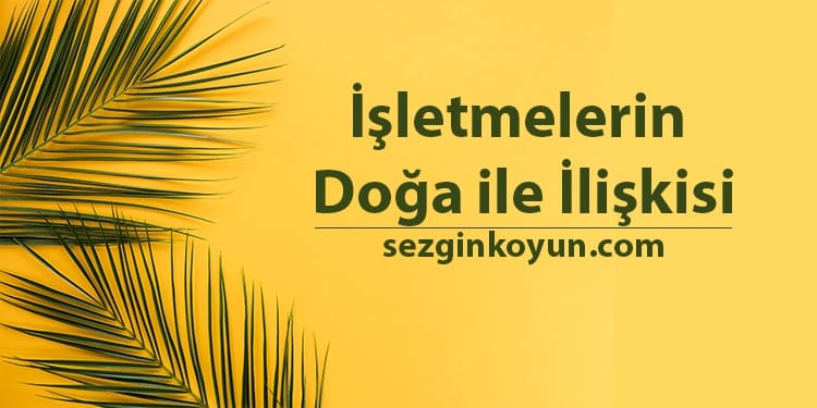 İşletmeler Doğadan Ne Öğrenebilir?