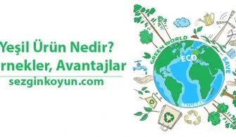Yeşil Ürün Nedir? Örnekler, Avantajlar ve Zorluklar
