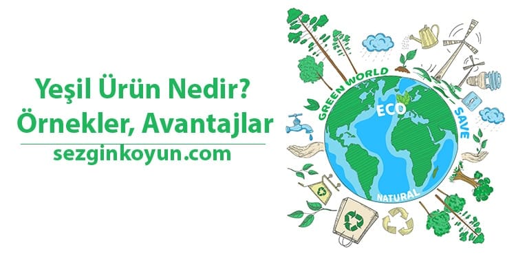 Yeşil Ürün Nedir? Örnekler, Avantajlar ve Zorluklar