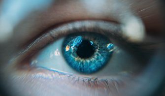 Grup Önyargısı: Jane Elliott’un Kahverengi Gözler ve Mavi Gözler Deneyi