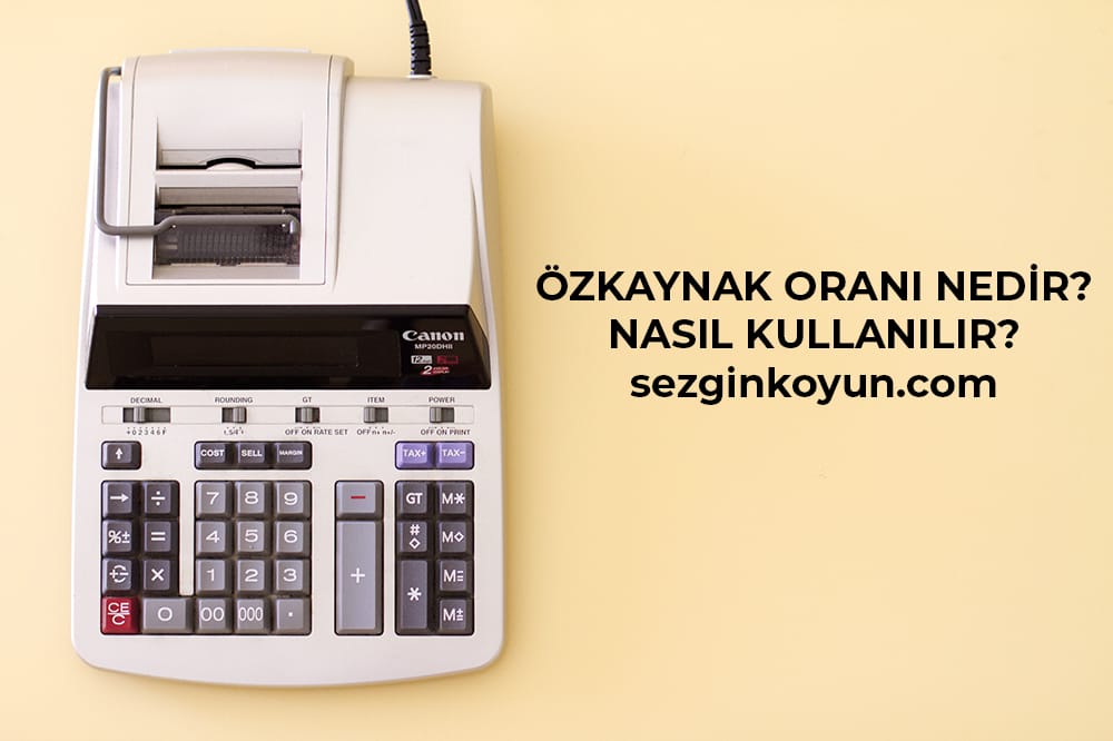 Özkaynak Oranı Nedir Ve Nasıl Hesaplanır?