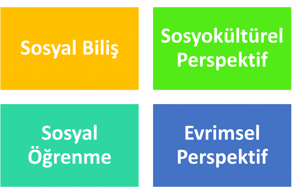 Sosyal Psikolojinin Temel Perspektifleri