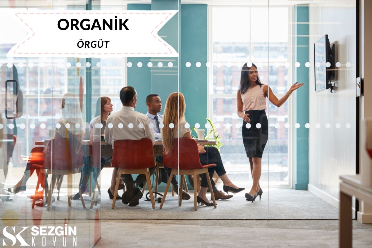 Organik Örgüt Nedir?- Tanımı ve Özellikleri