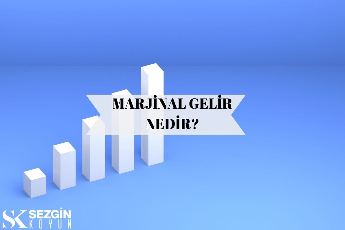 Marjinal Gelir Nasıl Hesaplanır? ( Formül Burada )