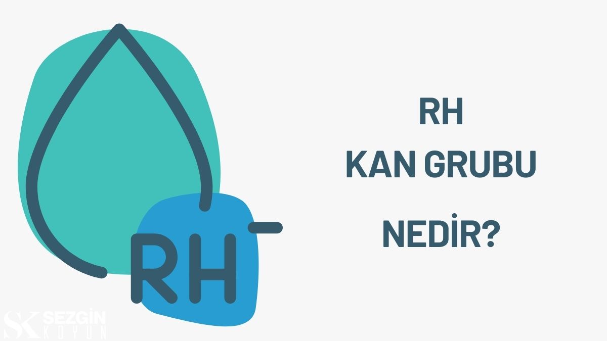 Rh Kan Grubu, Rh Faktörü ve Eritroblastoz Fetalis